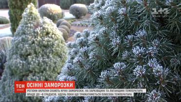 Холодное начало ноября: ночные заморозки ударят в Украине