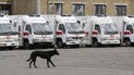 У Києві хлопчика у дитсадочку вдарило струмом