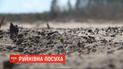 Через посушливу зиму, родючі чорноземи Полісся перетворились на пустелі