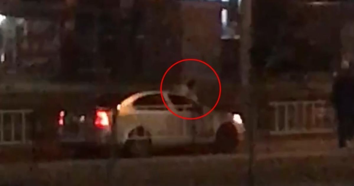 У Львові чоловік, якого розшукували за грабіж, під впливом наркотиків стрибав по автомобілях, які їхали дорогою