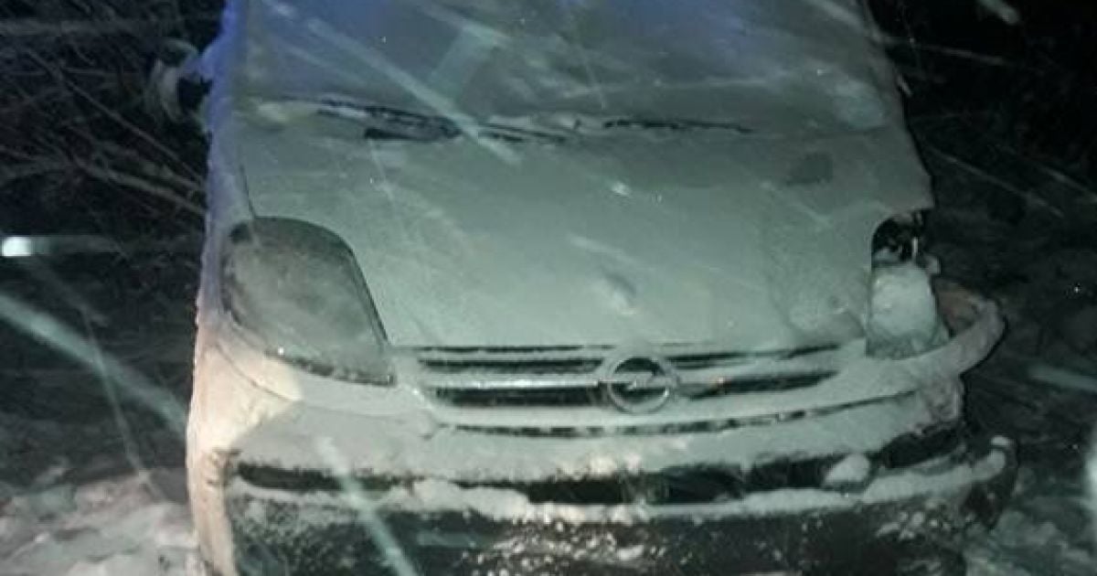 На Тернопольщине микроавтобус с чиновниками вылетел в кювет, глава РГА впал в кому