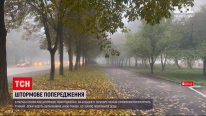 Погода в Україні: на більшості території синоптики прогнозують тумани