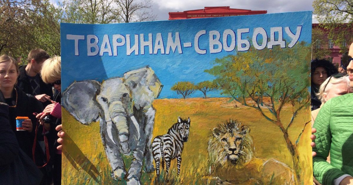 Мітинг проти тварин в цирку_1 / © ТСН.ua/Максименкова Мария