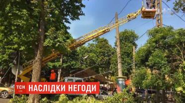 Потужний вітер за день поламав з десяток дерев в Одесі
