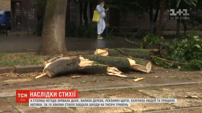 Внаслідок потужного буревію на Київщині одна людина загинула, четверо постраждали