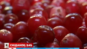 Клюква поможет преодолеть простуду