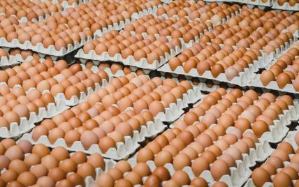В Украине начали существенно дешеветь куриные яйца