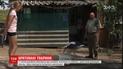11-річна дівчинка врятувала від загибелі лелеченя та зайченя