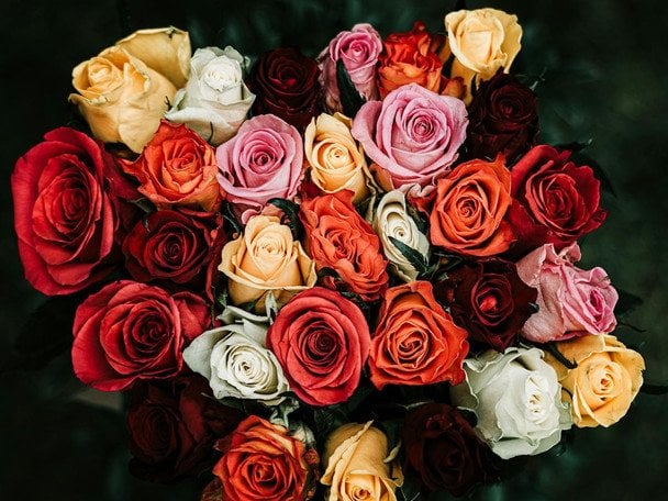 День ангела 28 січня — душевні привітання в прозі / © pexels.com