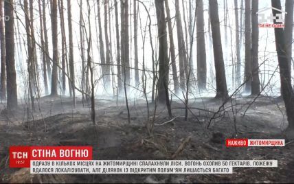 Вблизи границы с Беларусью горит 50 гектаров леса: загорелось в нескольких местах из-за поджигателей сухой травы