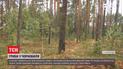 В Житомирской области задержали мужчину, который собирал на продажу грибы в радиоактивной зоне