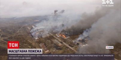 Новини України: у Балаклії масштабна пожежа – горіли сухостої й очерет