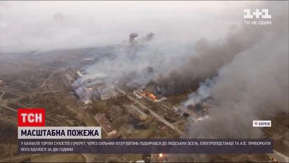 Новини України: у Балаклії масштабна пожежа – горіли сухостої й очерет