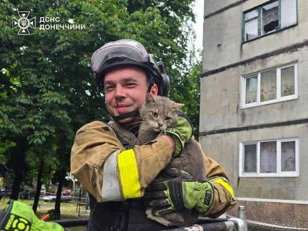 Двое суток на грани жизни: спасатели вытащили котика из-под завалов