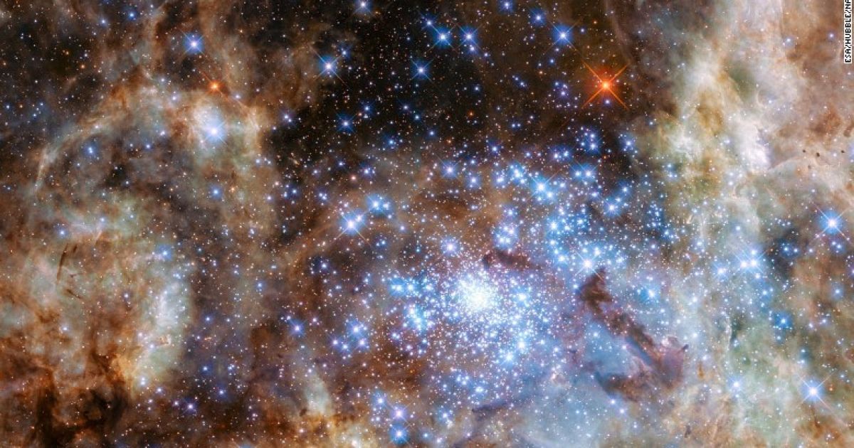 Ученые нашли массивные звезды, вес которых превышает 50 масс Солнца