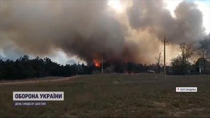 В Херсонской области бушуют пожары - горят леса и днепровские плавни