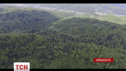 Что показали министру экологии в Национальном парке "Гуцульщина" активисты и журналисты ТСН