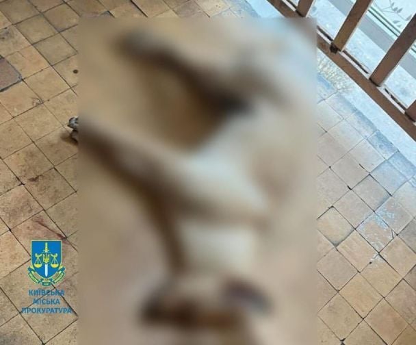 Собака Мілка померла від численних травм / © Київська міська прокуратура