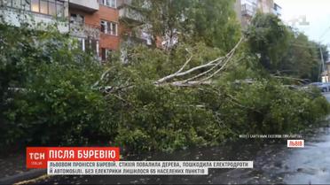 Из-за непогоды обесточены более сотни населенных пунктов в Украине