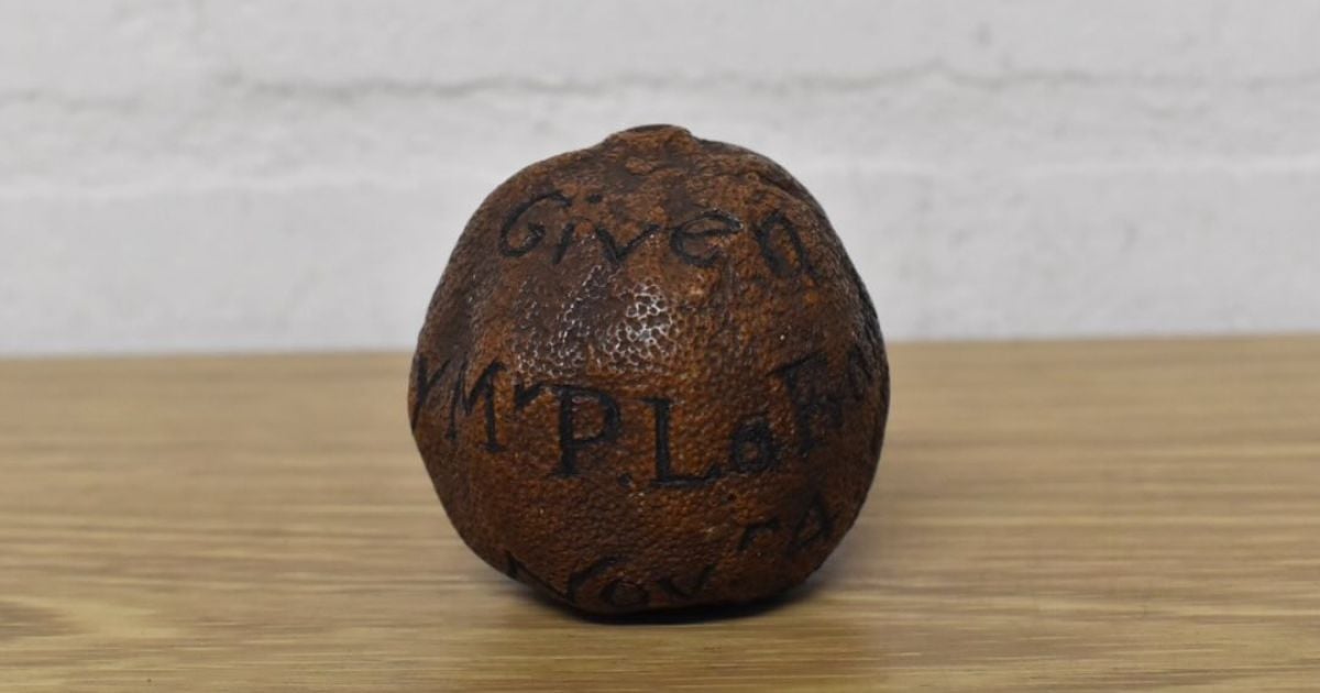 285-Year-Old Lemon Found in Old Cabinet Drawer Sells for ,780, Shocking Auction House