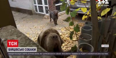 Новини України: у Харкові знайшли мертвою 81-річну жінку, на тілі виявили сліди собачих укусів