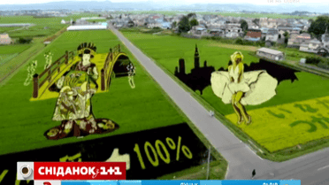 Японцы на рисовом поле нарисовали Мэрилин Монро