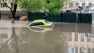Большую беду наделала в Голосеевском районе