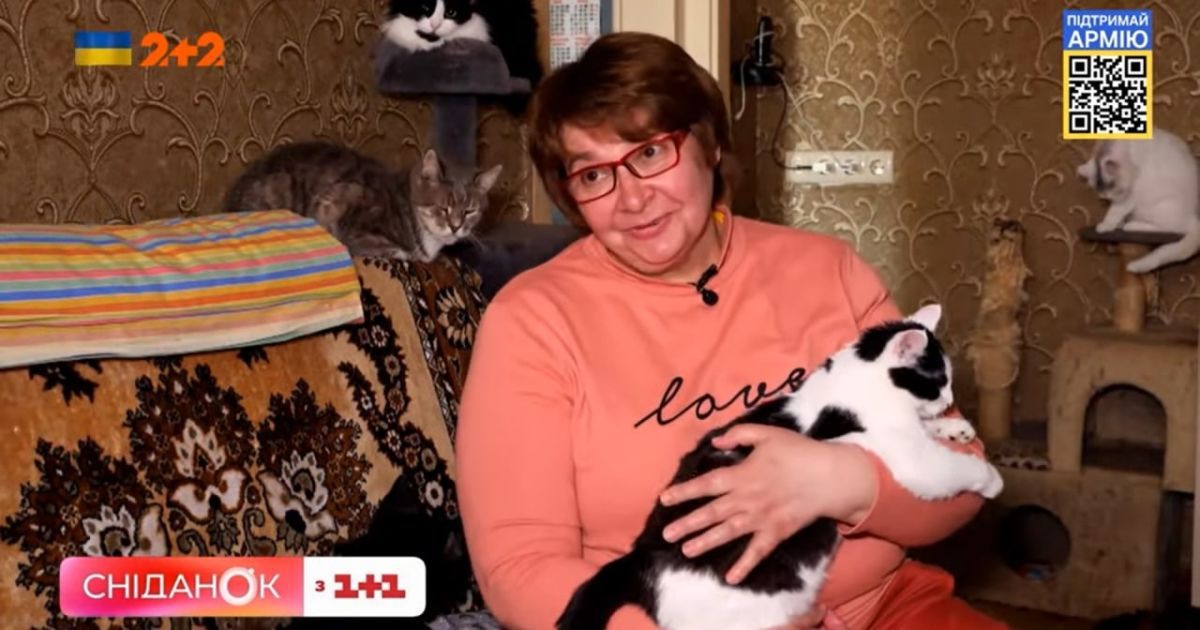 Три собаки і 59 котів: киянка шукає господарів для врятованих під час війни тварин
