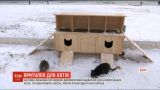 На одеському пляжі встановили двоповерховий будиночок для безпритульних котів