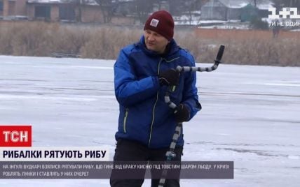 В Кропивницкому спасали рыбу от недостатка кислорода: что случилось