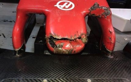 "Шкода тварину, але шкода і переднє антикрило" - гонщик Формули-1 збив бабака під час заїзду