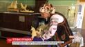 Тысячи фигурок из сыра лепят женщины в карпатских селах