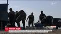 У Запоріжжі в Молочному Лимані загинуло сотні тонн риби