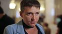 Савченко не запрошували на конференцію до ПАРЄ - Ар'єв