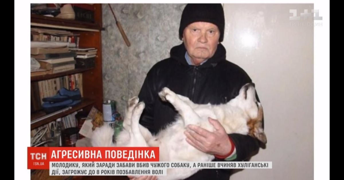 В Виннице парень ради забавы забил собаку пенсионера: что грозит злоумышленнику