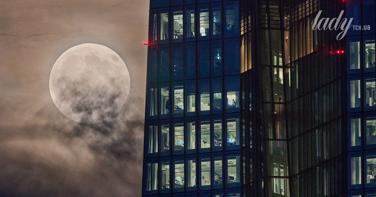 Гороскоп на 1–7 грудня 2025 року