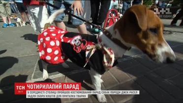 У столиці відбувся Джек-Расел-Парад