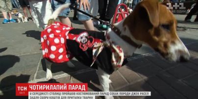 В столице состоялся Джек-Рассел-Парад