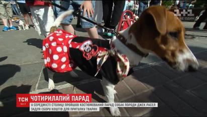 У столиці відбувся Джек-Расел-Парад
