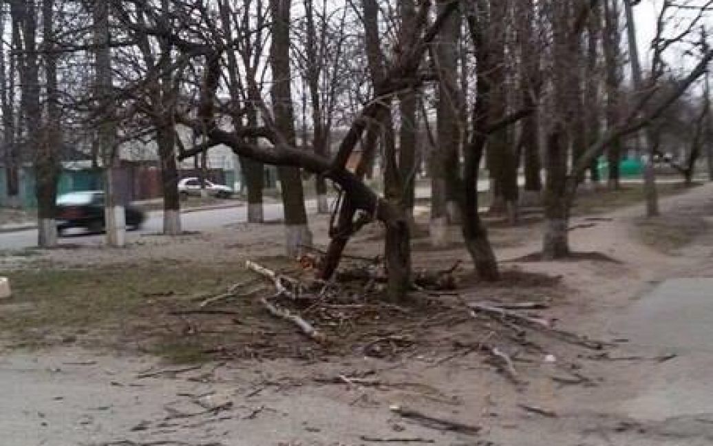 В Харькове наблюдали небывалый ураган. / © twitter.com/itsector