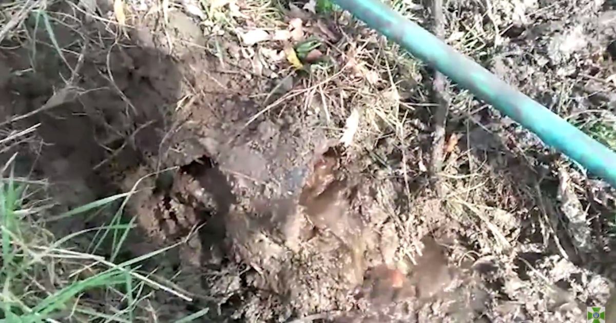 Из Молдовы в Украину через Днестр проложили трубопровод для перемещения спирта