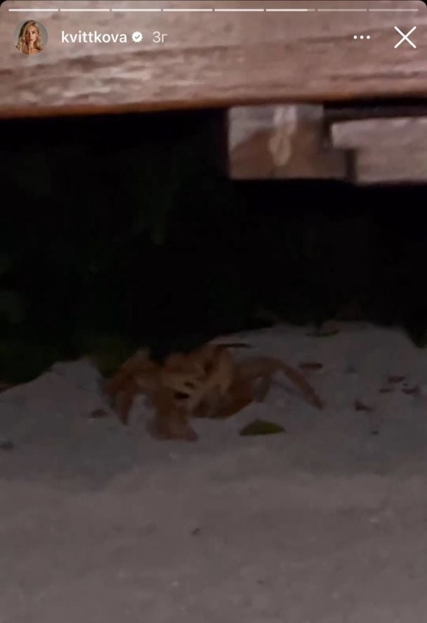 Даша Квіткова на відпочинку з родиною / © instagram.com/kvittkova