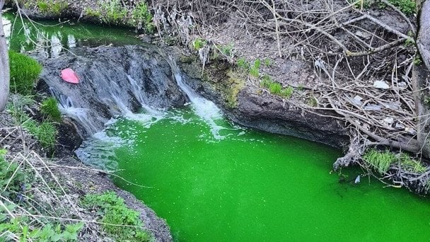 Яскраво-зелена річка у Львові налякала мешканців: що з’ясували фахівці (відео)