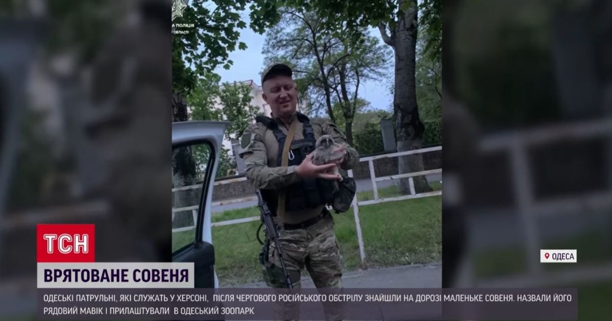 Спасение Рядового Мавика организовали в Херсоне