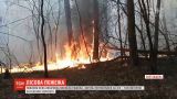 Украина в огне: 24 гектара леса выгорело в Полтавской области, а в Кропивницком тлеет свалка
