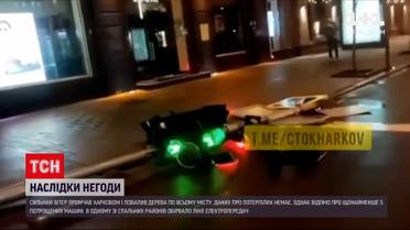 Новини Харкова: сильний вітер звалив дерева і світлофор разом зі стовпом