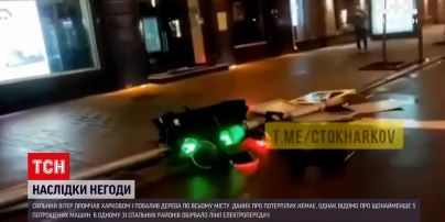 Новости Харькова: сильный ветер свалил деревья и светофор вместе со столбом