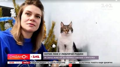 Люк в любящей семье: как сейчас живет кот, когда-то грустивший в приюте