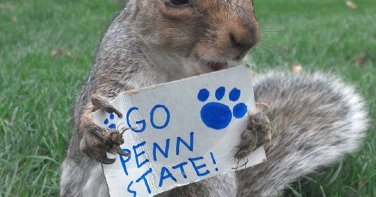 Белка-модница Снизи / © Sneezy The Penn State Squirrel / Facebook