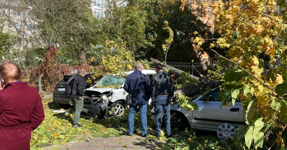 Непогода в Украине: во Львове ветер завалил стену дома, а в Одессе дерево разбило голову мужчине